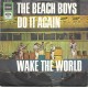 BEACH BOYS - Do it again